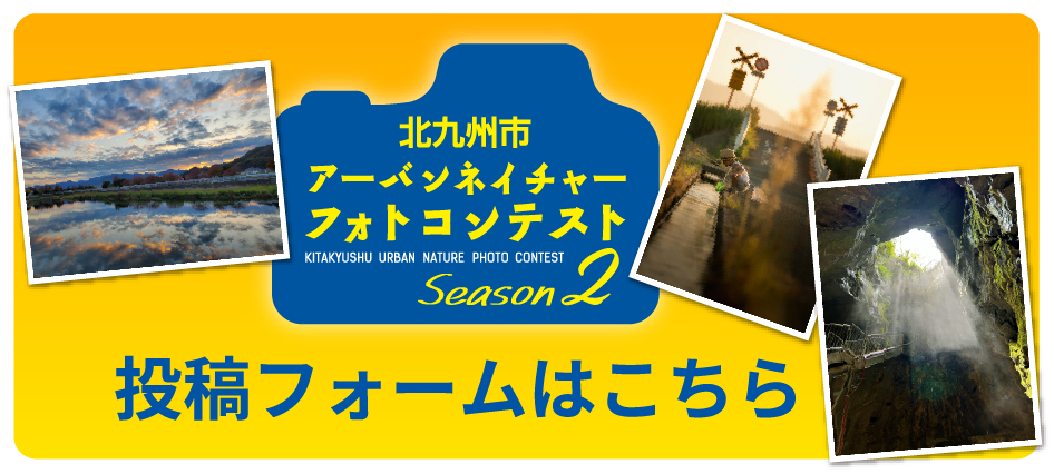 投稿フォームはこちら